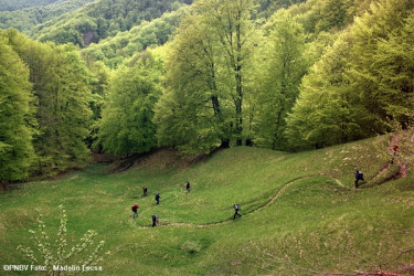Peisaje coborand-din-creasta-proiecte.jpg