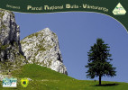 album-foto-coperta-1-docu.jpg