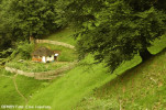 chilie-la-patrunsa-traditii.jpg