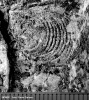 colonie-algala-geologie.jpg