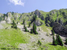 curmatura-builei.jpg