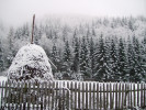 pregatiri-de-iarna-traditii.jpg