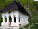 schitul-bradul.jpg