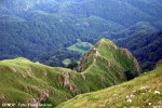 spre-patrunsa.jpg