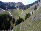urcand-spre-curmatura-builei.jpg