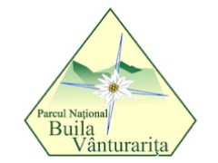 logo-articole.jpg